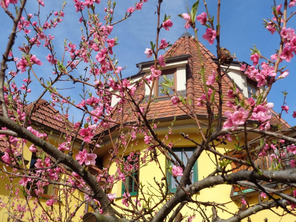 Hotel Pension Himmelreich Ternitz Exterior foto